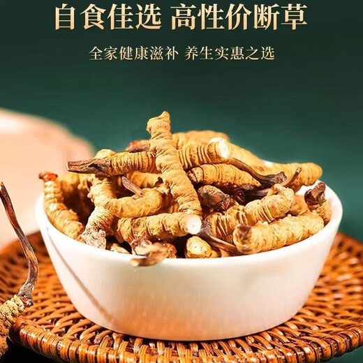 Cordyceps sinensis broken grass (10% for fake ones) Cordyceps sinensis broken grass soaked in wine, cordyceps sinensis supplement nutrition, Tibet Nagqu big broken grass meat festival 5g trial