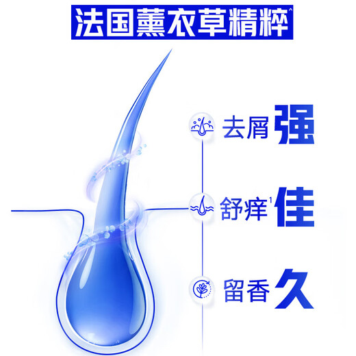 Haifei Lavender Essence apaisante et soulageant les démangeaisons anti-flèche de shampooing [SELLAGE SAVELLEMENT LAVELLE LA FALOBILIER LES PAVIONS]