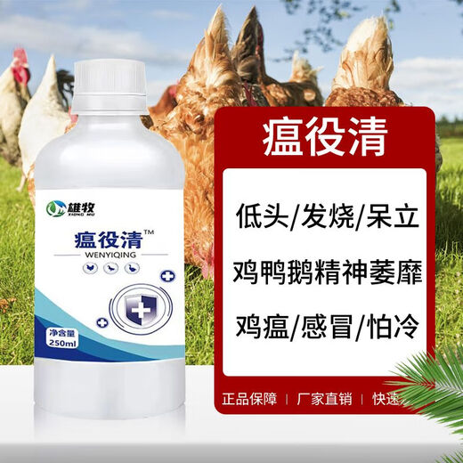 Xiong Mu Wen Ye Qing raises chickens, ducks and geese with malaise and plague, prevents chicken plague, coughs and snores, poultry feed additives 1 bottle of Wen Ye Qing 250ml