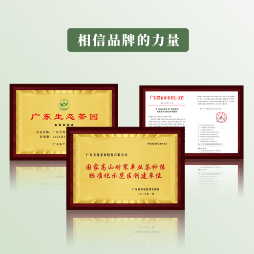 天池1392乌龙茶潮州凤凰单枞茶青山系列匠心制作精品口粮茶2024年新茶 鸭屎香一级125g