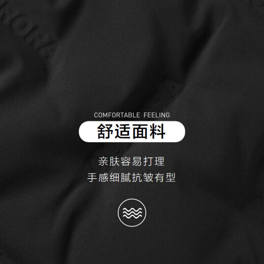 HLA Hai Lan Home [Same Style as Zeng Shunxi] Down Jacket Men's 23 Aurora Goose Down Three-Proof Technology Jacket Men's Winter