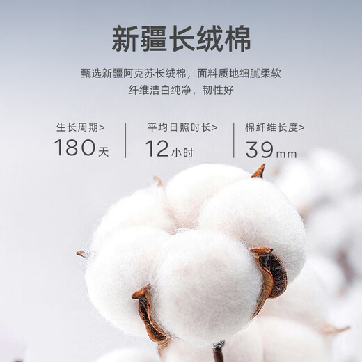 雅戈尔（YOUNGOR）短袖衬衫男素色DP免烫衬衫纯棉面料抗皱易打理新品 GSDP10171BJA白色 41
