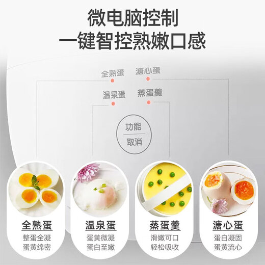 小熊（Bear）煮蛋器 蒸蛋器 智能定时 自动断电 小型不锈钢 防干烧 蒸煮鸡蛋一体机神器ZDQ-B06R2