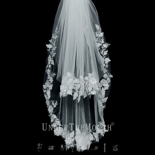 Biyun Bride Wedding Main Wedding Veil Super Fairy Style Photo Studio Shooting Props Double Layer White Simple Lace Veil One layer 70 and one layer 95 plus hair comb 60cm80cm