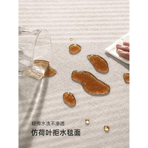 Carpet living room 2024 light luxury sofa floor mat without washing and erasable household waterproof bedroom thick Tianjin Qingqiang-13566 180cm*280cm no hair loss or color loss