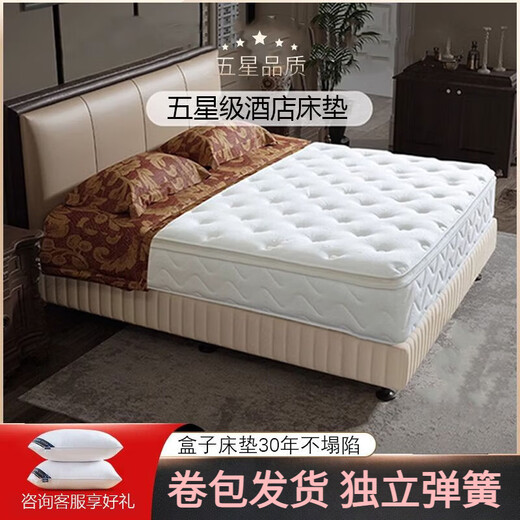 
The same latex memory foam independent bag spring mattress in Shanchen Hilton Hotel is super soft and thick enough to customize 1.82 Hilton Hotel basic model 20cm [slightly hard sleeping feeling 1350mm*1900mm