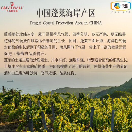 长城岚之丘珍酿优级白兰地 中粮集团 国产精选口粮洋酒 700mL 2瓶 礼盒装