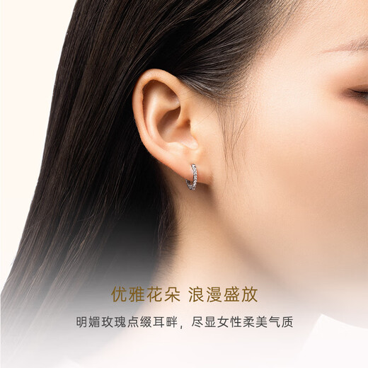 CRD Ke Laidi Spot Sparkling PT950 Platinum Earrings Platinum Wheat Earrings Simple and Fashionable 2.25g