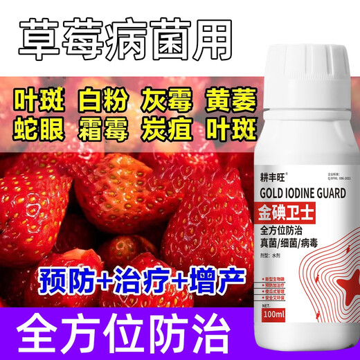 Gengfengwang strawberry disease special strawberry treatment medicine, downy mildew, powdery mildew, anthracnose, root rot, gray mold, leaf spot, fruit rot 500ml (30 acres)