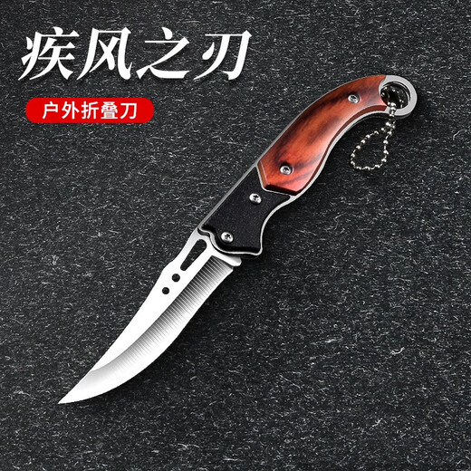 OPPEIN Folding Fruit Knife Household Knife Stainless Steel Sharp Fruit Knife Outdoor Hand Knife Multifunctional Portable Knife Hand Knife with Tail Ring