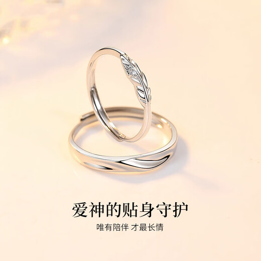 EothPT950 Platinum Moissanite Diamond Cupid's Feather Couple Ring Girls Pair of Rings Birthday Gifts for Girlfriend Women's PT950 Platinum Ring + Certificate