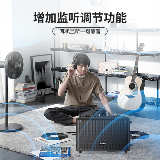 Ailip T10PLUS audio built-in sound card live broadcast internal recording home outdoor portable karaoke instrument singing electric blowpipe saxophone guitar bluetooth high-power speaker official flagship T10plus black standard