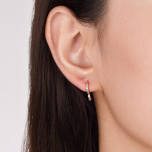 Liuguifu Jewelry 18K gold earrings sweet 18K color gold earrings earrings earrings for women FE0189