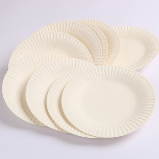 Kindergarten handmade special paper plate white disposable children's art diy painting colorful cake painting 9 inches / diameter 23cm (20 pieces)