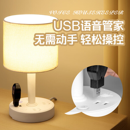 雅奈捷LED装饰台灯插座一体简约现代家用卧室遥控床头柜灯ins网红小夜灯 688 白色 遥控款 带双USB 0.8米
