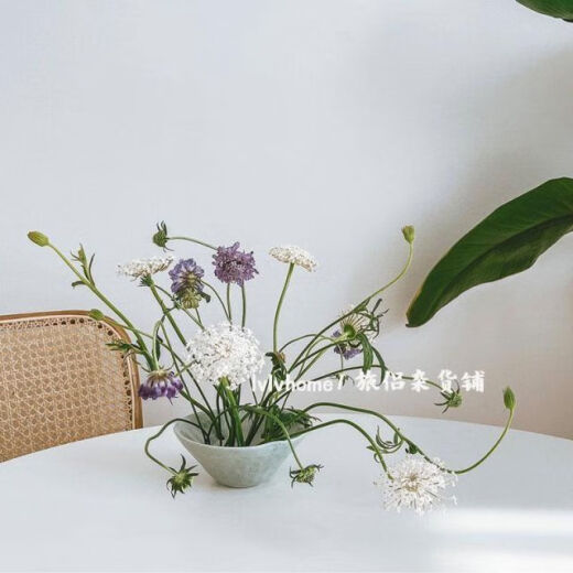 Suitable for Korean ceramic flower pots, niche art design, flower arrangements, flower vases, water filter bowls, living room decorations, orange [single rose] + fast delivery