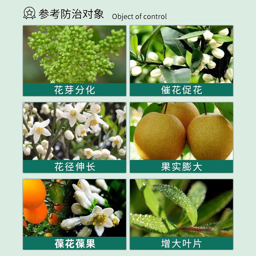 Guoguang 3% gibberellin 920 citrus grape fruit germination preservation and fruit setting improvement gibberellic acid plant growth regulator 50ml