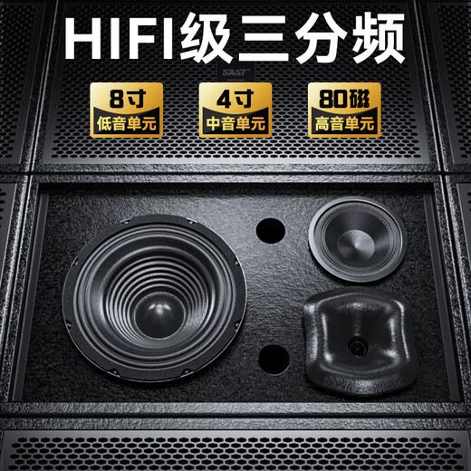 先科会议室音响设备全套家庭KTV演讲培训背景音乐套装 蓝牙功放壁挂音箱无线麦克风 W8-1 8吋超薄套装+双手持麦克风