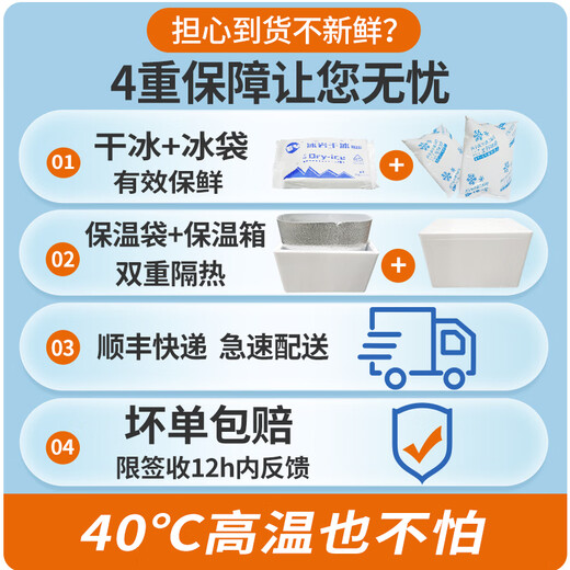 兴威（XINGWEI）火锅食材肉糜风味丸子1斤鱼丸肉丸火锅包关东煮食材火锅套餐组合 肉糜风味丸子1斤装