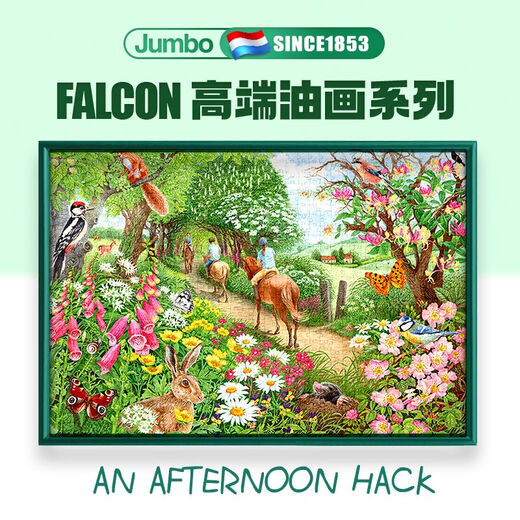 Dutch puzzle jumbo puzzle falcon series 1000 pieces imported puzzle children's puzzle 1000 pieces - Summer music festival 11304