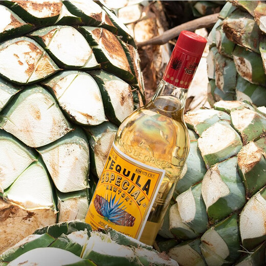 Los seis principales vinos principales de Aubeck, cócteles de bricolaje y vinos extranjeros, brandy de whisky, vodka, tequila, botellas de ginebra importadas [ocho vinos base principales] 8 botellas de regalos