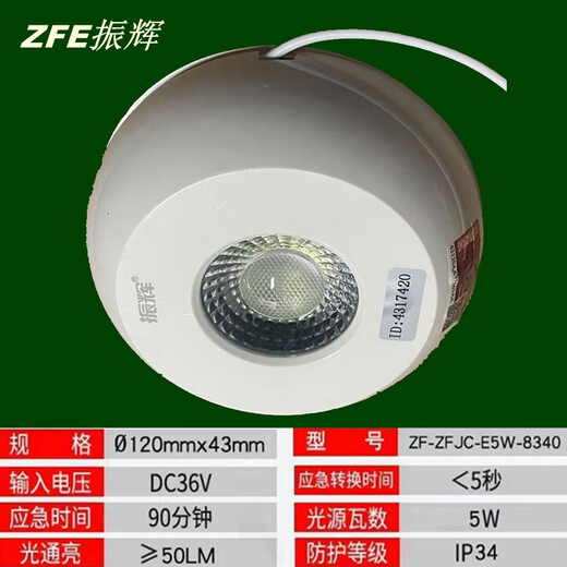 Shantoulincun Zhenhui A-Type de bajo voltaje DC36V Fuego Cilindro de emergencia de doble cabeza Cilindro centralizado Lámpara de iluminación de techo montada en la pared de la pared, recolectando la luz de techo de control de control integrado 3.5 pulgadas 3W (831 (831