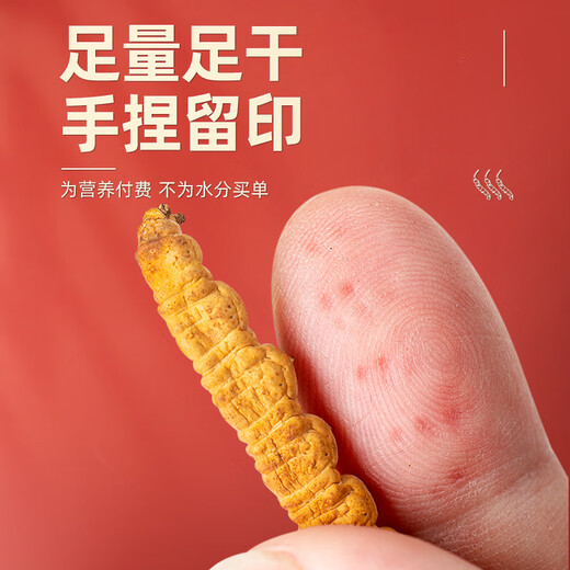 聚和泰头茬冬虫夏草礼盒新年货节过节送礼品礼物家人长辈老人滋补营养品 【4根/克 20根-5克】送礼推荐
