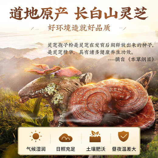 Beijing Tongrentang Break Wall Ganoderma lucidum Spore Powder for Elders Adults and Middle-aged People to Enhance Immunity 40g (20g*2 Boxes)