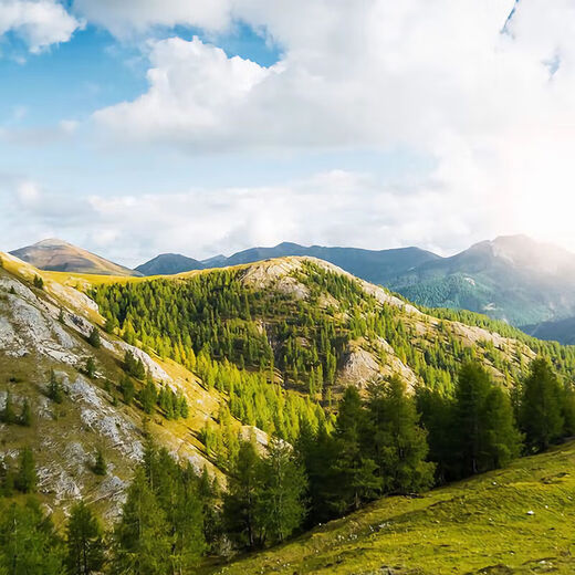 Garkoko Little Moon Teething Stick for Baby Teething Stick for Baby to Prevent Eating during Teething Microsoft Crescent Moon + Round Yang