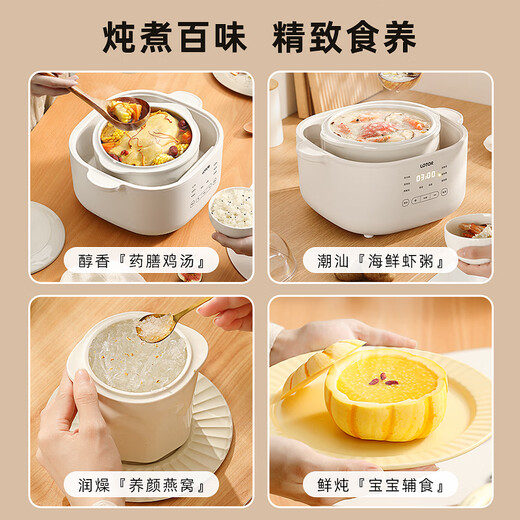 LOTOR White electric stew pot multi-function pot electric cooking pot soup pot household large-capacity water-proof stew pot baby food supplement electric steamer porridge pot D31 five-gallon style