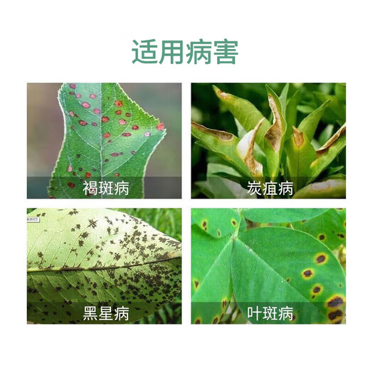 Bonsec 40% benzopyrazole citrus grape fruit trees vegetables flowers brown leaf spots rust powdery mildew pesticide fungicide