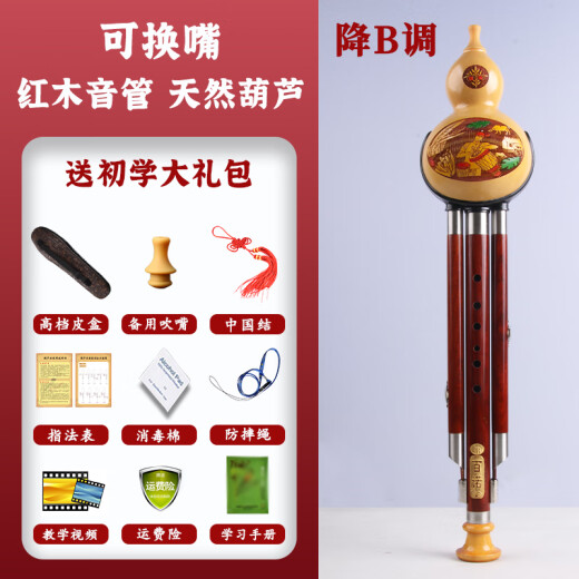 百诺天然专业演奏型葫芦丝乐器成人初学者红木小学生葫芦丝民族乐器 可换嘴天然红木管降B调+书