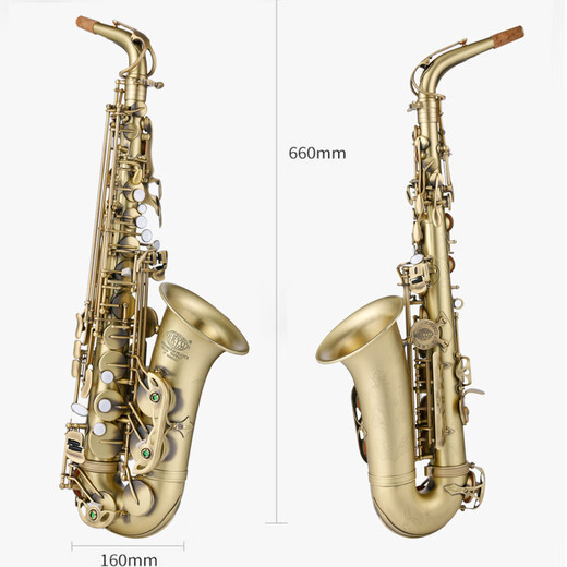 萨尔特中音萨克斯管乐器初学者专业降e调SP-6600 进口铜材 台湾原装原产 仿古青铜色