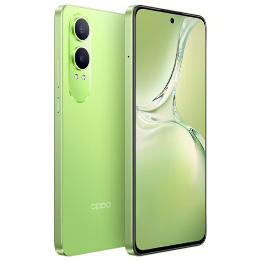 
OPPO K12 5G 100W flash charging 5500mAh super long battery life Third-generation Snapdragon 7 flagship core Straight screen new photo game AI mobile phone oppo mobile phone k12x Ningguang green丨K12x (Snapdragon 695) 8GB+256GB