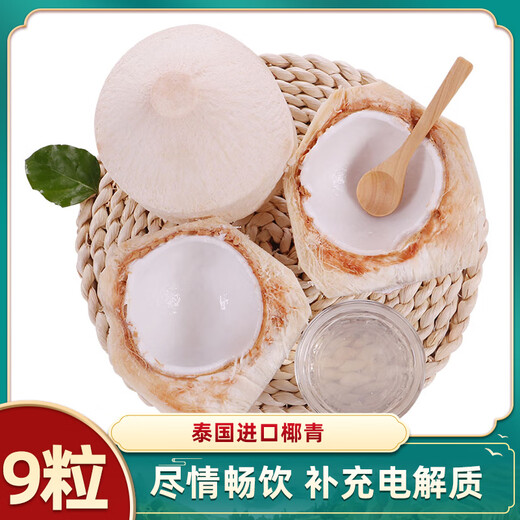 Jingxiansheng Coconut Green Imported from Thailand 9 Pack Large Fruit Single Fruit 900g+ Fruit Gift Straight from the Source