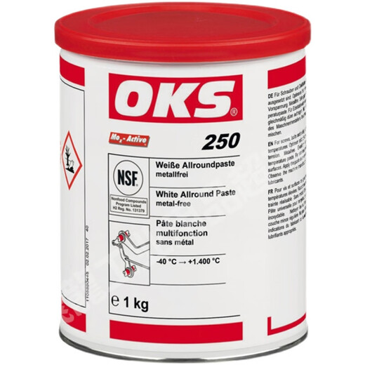 German imported OKS250/2OKS250 mold ejector oil high temperature resistant thread bolt anti-card white oil lubricating grease 2501 kg