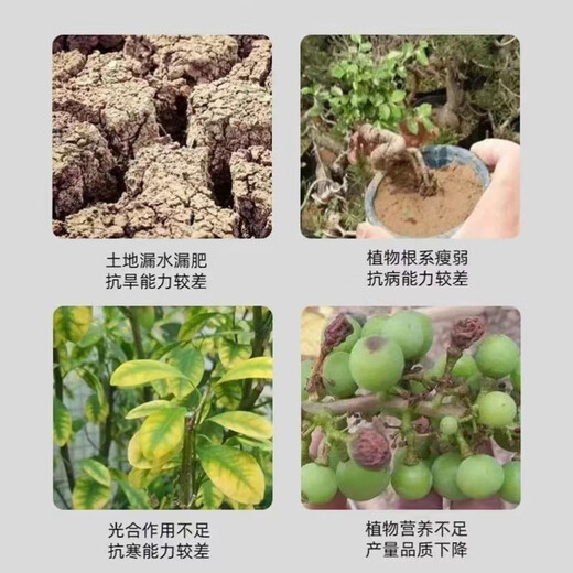 Soil loosening agent, loosening essence, no deep tillage, soil activator, universal fertilizer, imported raw materials, 100 times more effective. 1 Jin Jin is equal to 0.5 kg.