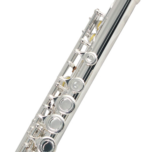 Sternseeflöte, anfänger silberverlagte C-Tuning-Flöte 16-Loch-Windinstrument Flöte E-121