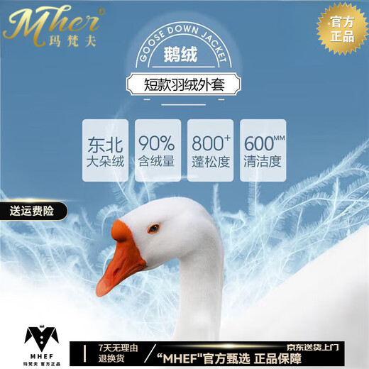 Nasaover Goose Down Jacke Herren kurz 2025 Winter Neu eingedicktes warmes mittleres Alter mit Kapuze warmer Gans Down Jacke 9717 Mist Blue Kapuze kann entfernt werden.