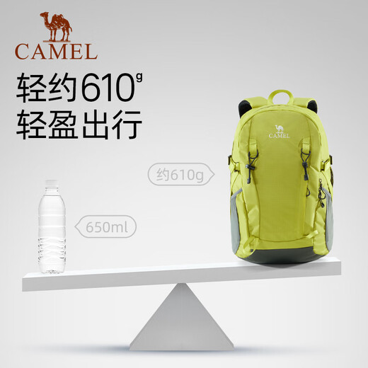 骆驼（CAMEL）云涧户外登山包双肩包运动旅游旅行徒步防泼水爬山骑行休闲书包 574D789650-糖果绿-23L