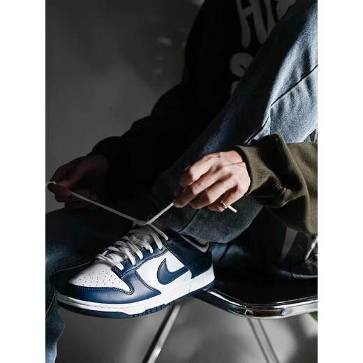 耐克（NIKE）Dunk Low男子白蓝经典复古休闲板鞋DD1391-400 DD1391-400白蓝 40.5 四季百搭上脚超帅