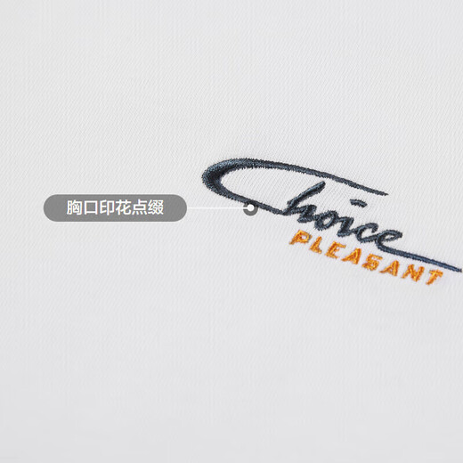 HLA Hailan House short-sleeved T-shirt men's cool cotton round neck letter short-sleeved men