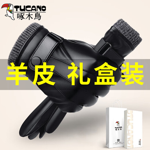 Woodpecker (TUCANO) genuine leather gloves for men, winter riding, warm, water-repellent, motorcycle driving, plus velvet and thickened touch screen sheepskin gloves
