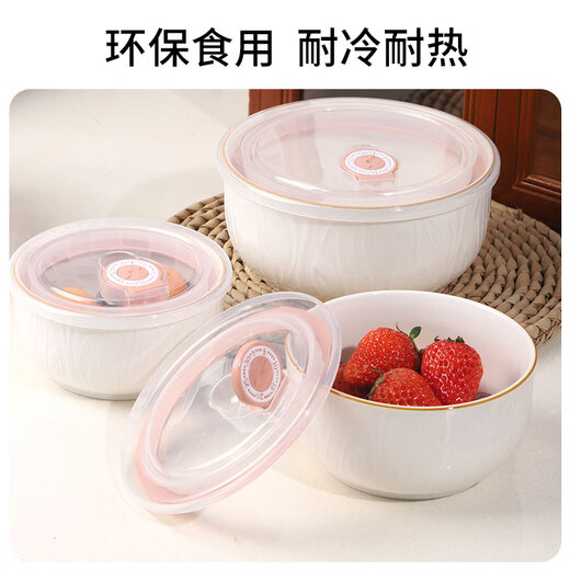 Shunxiang fresh-keeping bowl ceramic household tableware set with rice bowl, lunch bowl, instant noodle bowl with lid, suitable for microwave oven