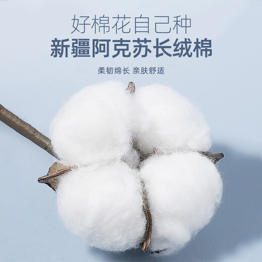 YOUNGOR short-sleeved shirt men's plain DP no-iron shirt cotton fabric comfortable breathable anti-wrinkle new product VSDP170011IFA light blue 40 YOUNGOR short-sleeved shirt men's plain DP no-iron shirt cotton fabric comfortable breathable anti-wrinkle new product VSDP170011IFA light blue 40