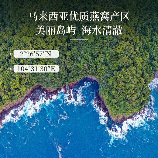 同仁堂干燕窝50g特级礼盒送老婆孕妇高端原盏马来燕窝礼盒黑色星期五
