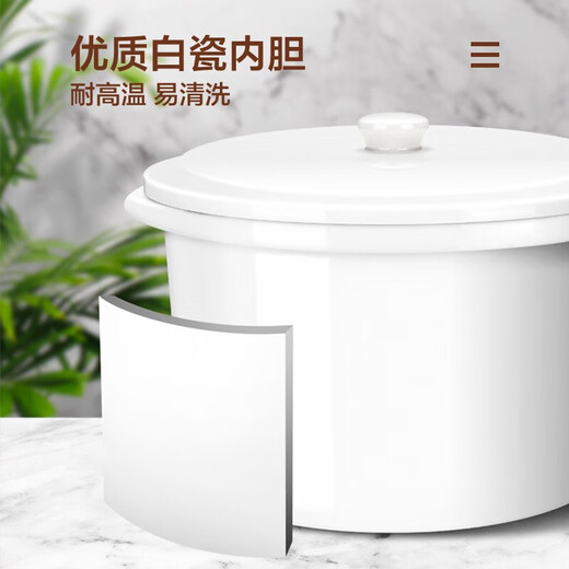 SUPOR electric stew pot, water-proof stew pot, household multi-functional steaming and cooking all-in-one soup pot 2.5L ceramic four-gallon 3-5 people smart reservation baby porridge baby food supplement electric stew pot DZ25YC831 2.5L