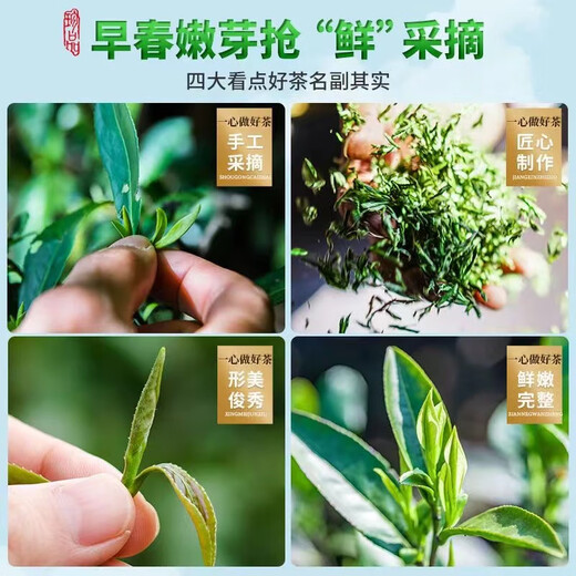 茶小赐 茶叶安溪铁观音 特级高山兰花香浓香耐泡乌龙茶255g*2袋 【金罐品鉴-特级安溪铁观音30g】