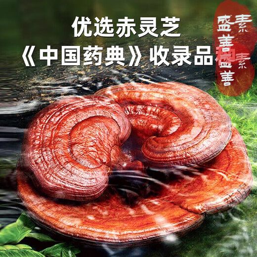 北京同仁堂赤芝生霍山破壁灵芝孢子粉和抵抗力中老年送礼礼袋装 3盒【30袋】+礼袋
