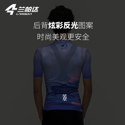 兰帕达【特价福利】骑行服男款短袖上衣专业公路自行车骑行装备 云霞男款短袖（灰紫色） XL